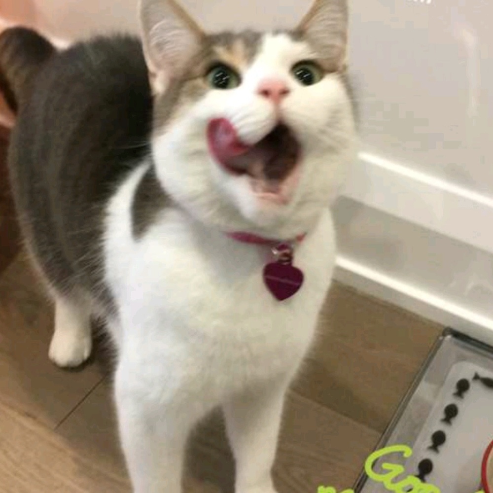 Meet your Posher, Michele